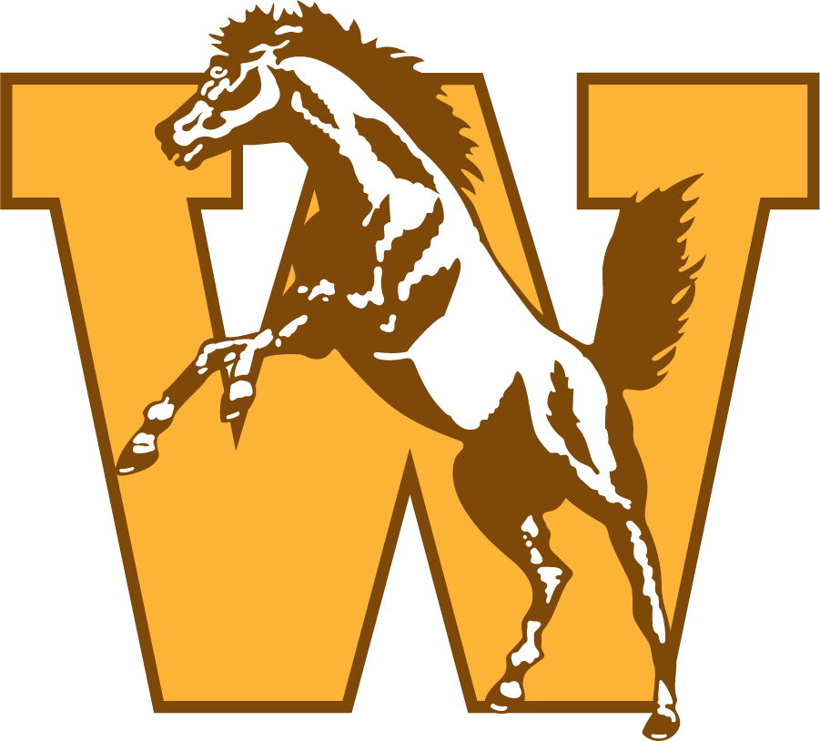 Western Michigan Broncos 1994-1998 Primary Logo iron on transfers for T-shirts...